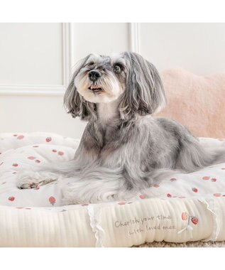 PET PARADISE ペットパラダイス カドラー 《花苺柄》　Ｌ ホワイト×レッド