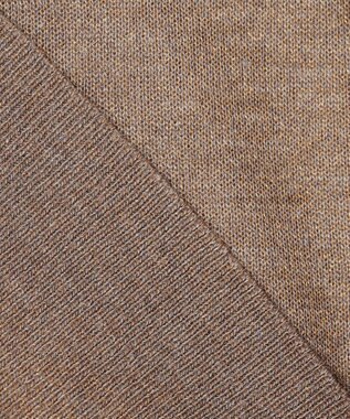 23区 S 【洗える】シャイニーシアー ニットパーカー ブラウン系