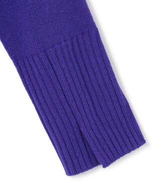 ICB L 【新色追加・WEB限定カラーあり】 ソフトカシミヤミックス ハイネックニット ロイヤルブルー系