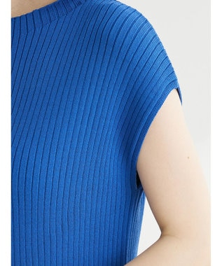 Green Parks ・Ｐｅｔｉｔ　Ｆｌｅｕｒ　フレンチスリーブリブニット Blue