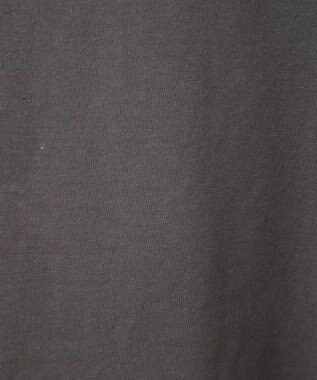 Green Parks ■ＰＥＡＮＵＴＳ　クロスステッチロンＴ Charcoal Gray