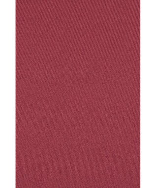 DAKS 【DAKS GOLF】カラーチップストレッチソフトTシャツ ボルドー