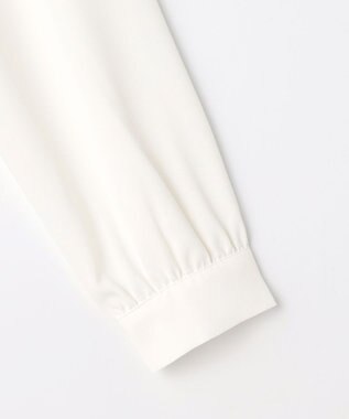 ANY SIS フリルネックスタンド ブラウス オフ