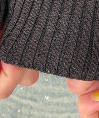 WEGO リブハイネックショートニット ブラック