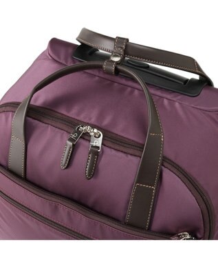 ACE BAGS & LUGGAGE プロテカ ソリエ3 カジュアル キャリーケース 29リットル 機内持ち込み対応サイズ キャスターストッパー付き 1泊程度の旅行に最適な2本手ハンドル・枠なしタイプ 12882 パープルワイン