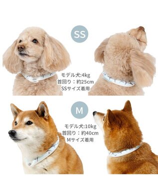 PET PARADISE ペットパラダイス ２８℃ クールリング ＳＭ 《サメ柄》 ブルー