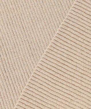 ICB 【洗える】エクストラファインメリノリブ ボートネックニット ベージュ系ラメ