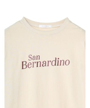 Green Parks コンパクトロゴロンＴ B