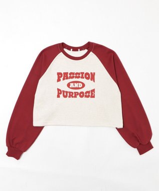 WEGO ラグランカレッジPO ワイン