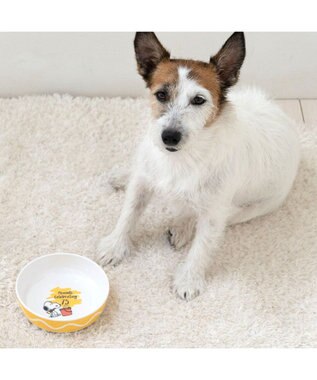 PET PARADISE スヌーピー 75周年 メラミンえさ皿 黄