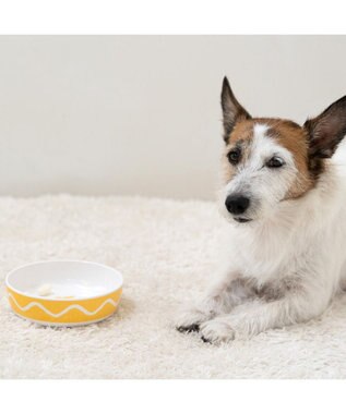 PET PARADISE スヌーピー 75周年 メラミンえさ皿 黄