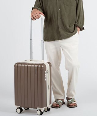 ACE BAGS & LUGGAGE RIMINI フラミニア スーツケース 機内持込み 32L 05121 リミニ エース ブロンズ