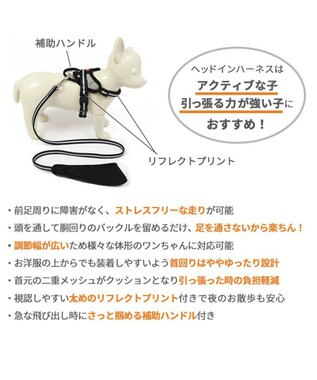 PET PARADISE ヘッドインハーネス 【Ｓ】 オレンジ / ブルー【  小型犬】 オレンジ×グレー