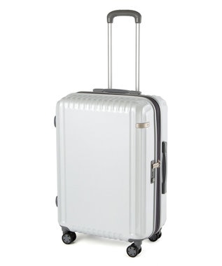 ACE BAGS & LUGGAGE ace. パリセイドZd Mサイズ 59～70L 06818 エース ホワイトカーボン