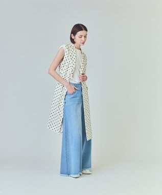 GRACE CONTINENTAL ドットジレドレス キナリ