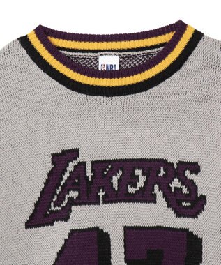 WEGO 【ユニセックス着用ITEM】別注NBAジャガードプルオーバー グレー