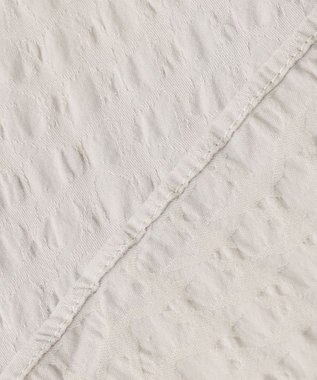 JOSEPH HOMME トリックジャガード　レギュラーカラーシャツ アイボリー系