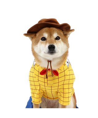 PET PARADISE ディズニー トイ・ストーリー なりきりウッディ 中型犬 -