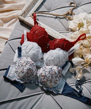 San-ai Resort（三愛水着楽園） エレガントコレクション【2411】単品ブラEFGカップ 【northerly】 グレー