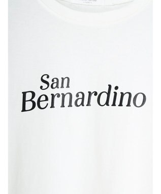 Green Parks コンパクトロゴロンＴ A