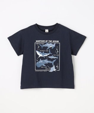 ANY KIDS 【洗濯機可能】サメプリント 半袖Tシャツ ネイビー