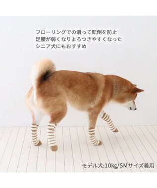 PET PARADISE ペットパラダイス makokoro スリット 靴下  《ボーダー》 ＳＭ 中型犬 ボーダー