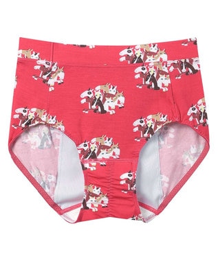 une nana cool 2026年お年賀「まるっとうまくいく」 ナイト用サニタリーショーツ