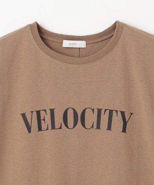 ANY ドルマンスリーブロゴTシャツ キャメル