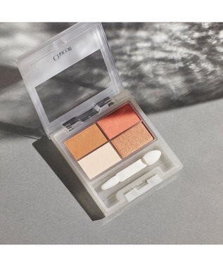 Chacott Cosmetics フェイスカラーパレット【508】愛されブラウン ー