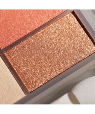 Chacott Cosmetics フェイスカラーパレット【508】愛されブラウン ー