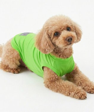 OP／FILA 【Ocean Pacific】メッシュドッグウェア ペットウェア