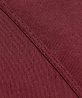 ANY L オーガビッツロゴテールＴシャツ バーガンディ