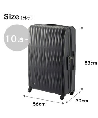 ACE BAGS & LUGGAGE Proteca トリアクシス3 スーツケース 132L 大容量 02495 プロテカ ガンメタリック