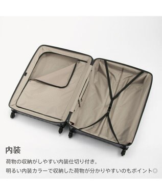 ACE BAGS & LUGGAGE Proteca トリアクシス3 スーツケース 132L 大容量 02495 プロテカ ガンメタリック