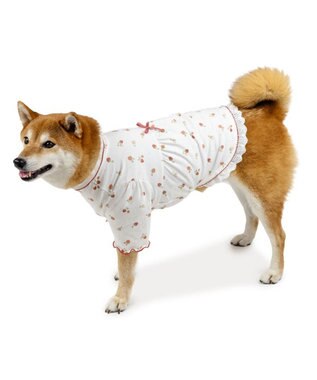 PET PARADISE ペットパラダイス ペティヒート天竺 Tシャツ 《いちご》 中型犬 大型犬 ホワイト