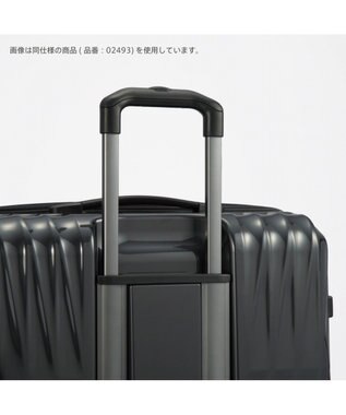 ACE BAGS & LUGGAGE Proteca トリアクシス3 スーツケース 132L 大容量 02495 プロテカ ガンメタリック