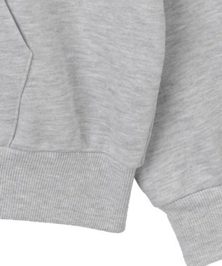 WEGO 【ユニセックス着用ITEM】ワッペンロゴZIPパーカー アッシュグレー