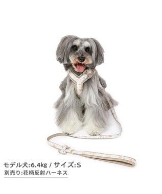 PET PARADISE 花柄 リード【４Ｓ~３Ｓ】 小型犬 茶系