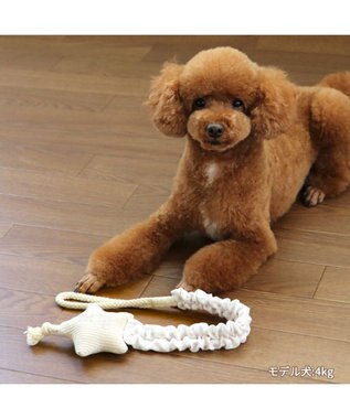 PET PARADISE ペットパラダイス 引っ張り トイ 《雲/星》 星