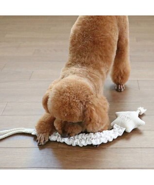 PET PARADISE ペットパラダイス 引っ張り トイ 《雲/星》 星