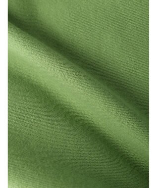 Green Parks ＦＡＮＴＡＳＩＡ／ポスタープリント裏毛プルオーバー Green