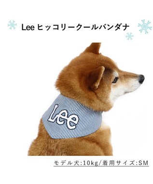 PET PARADISE Ｌｅｅクールネック ヒッコリー バンダナ《保冷剤付き》 【中型犬】 水色
