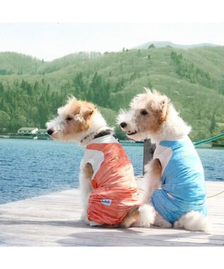 PET PARADISE Ｌｅｅ つなぎ風  ロンパース 【小型犬】《ブルー/オレンジ》クールマックスエコメイド オレンジ