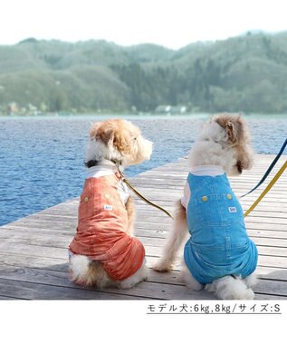 PET PARADISE Ｌｅｅ つなぎ風  ロンパース 【小型犬】《ブルー/オレンジ》クールマックスエコメイド オレンジ