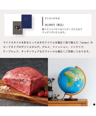 PRESENTERS ROOM uluao(ウルアオ) e-order choice(カードカタログ) ＜ドミツィアナ カード＞ -