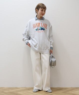 AMERICAN HOLIC 刺繍裏毛プルオーバー Brown