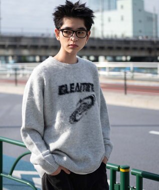 WEGO 【ユニセックス着用ITEM/MLサイズ展開】シャギーグラフィックプルオーバー グレー