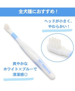PET PARADISE 【ネット店限定】ペット用品  曲がる 歯ブラシ ２本セット  全犬種対応 白~オフホワイト