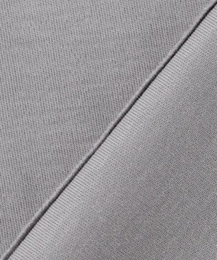 ANY L シルケットスムースジャガードスリーブプルオーバー グレー