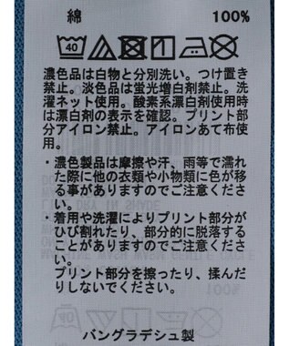 Green Parks 小さめカレッジボックスＴシャツ Blue